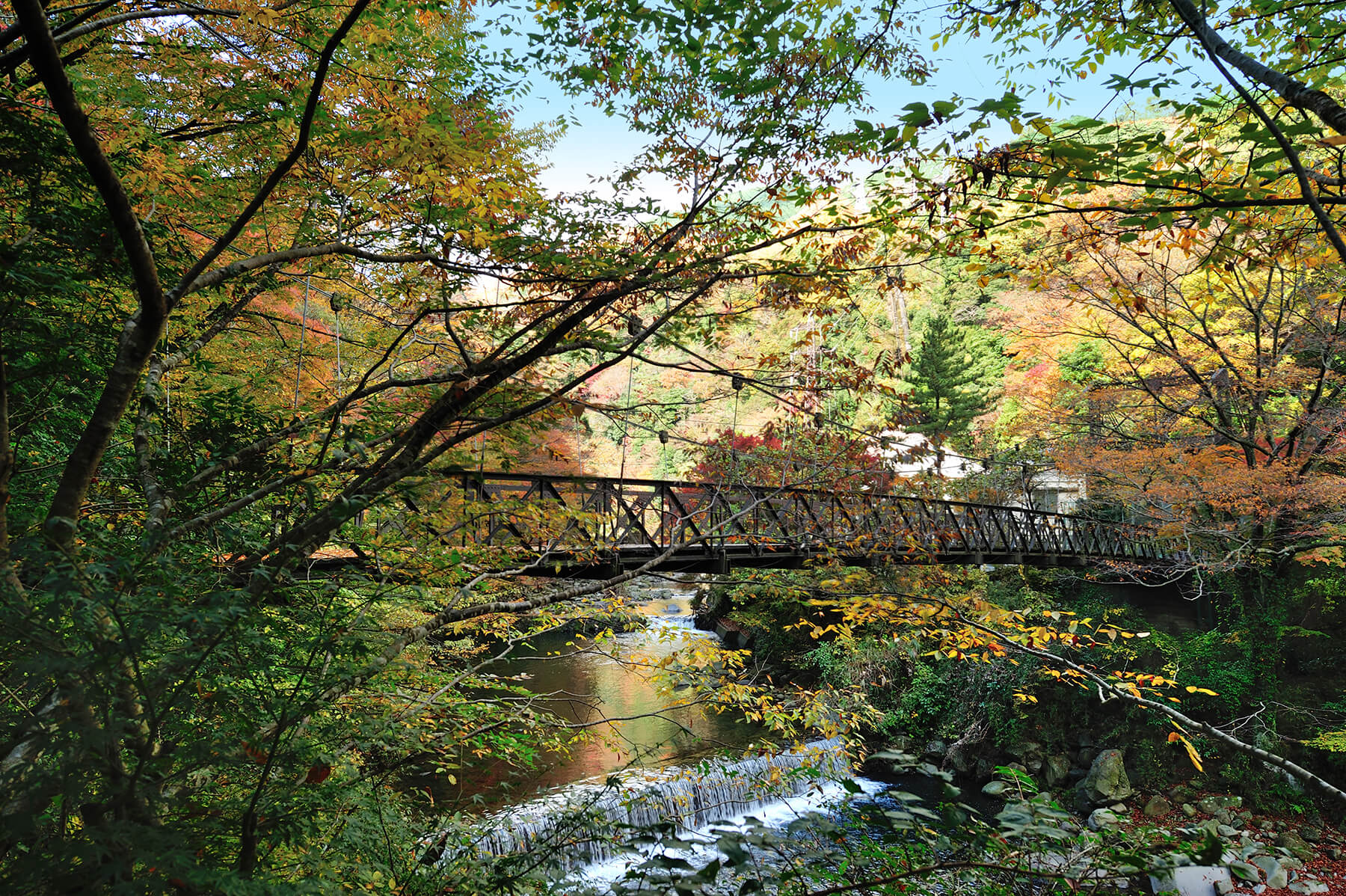 橋　秋