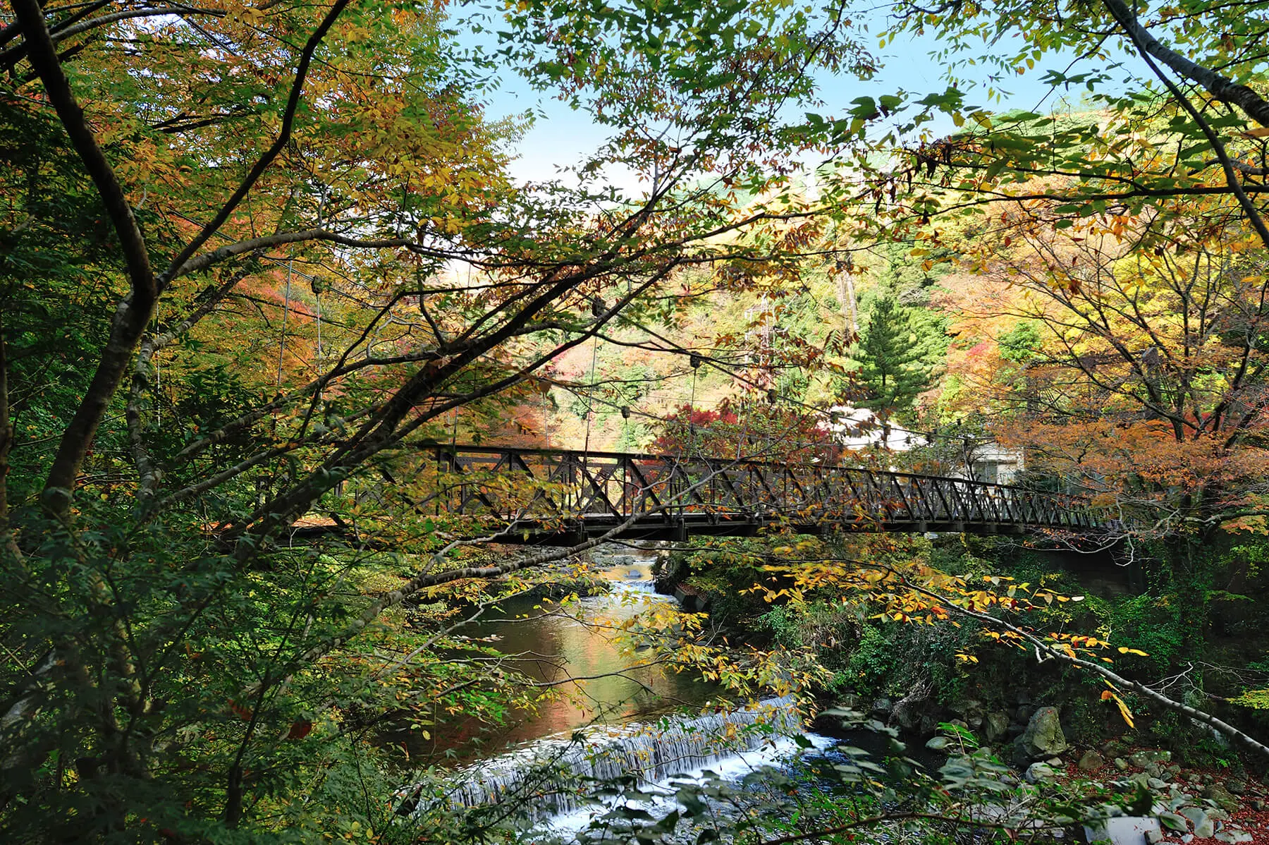 公式HP【最低価格保証】 - 箱根湯本・塔之沢温泉 山の茶屋