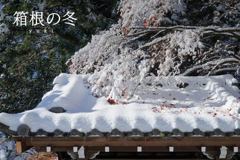 季節別｜箱根の冬