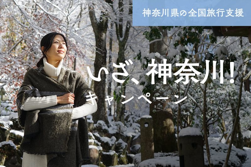１月10日(火)宿泊分〜いざ、神奈川！キャンペーンについて