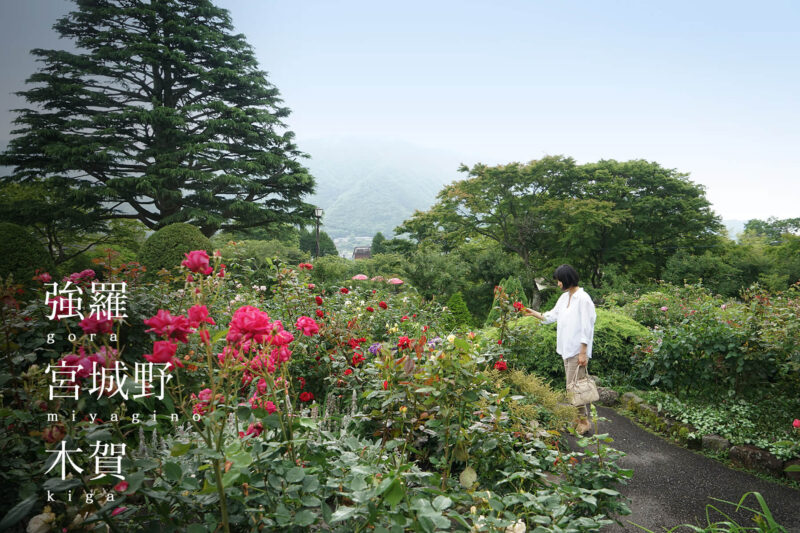 場所別｜強羅・宮城野・木賀エリア