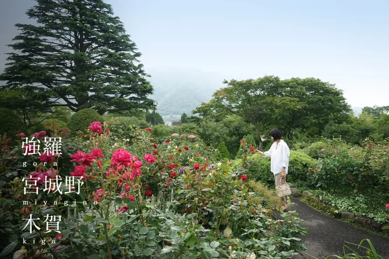 場所別｜強羅・宮城野・木賀エリア