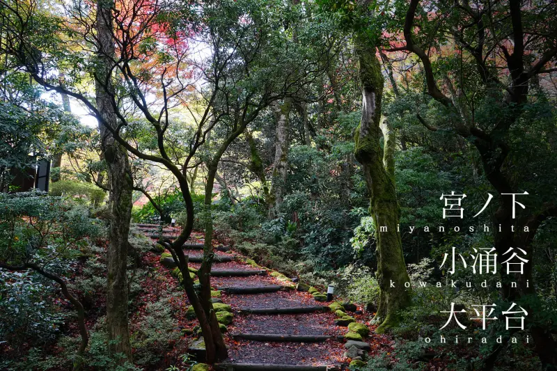 場所別｜宮ノ下・小涌谷・大平台エリア