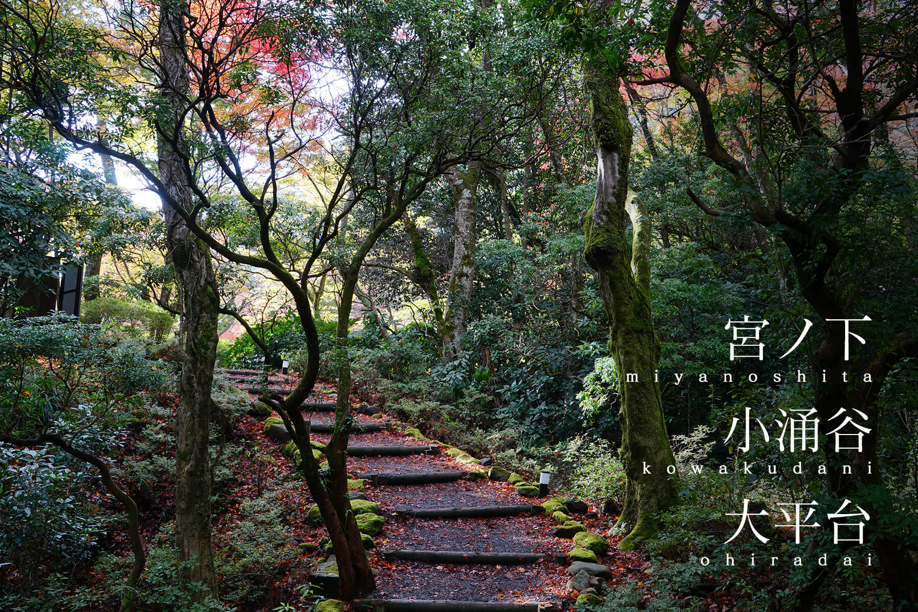 場所別｜宮ノ下・小涌谷・大平台エリア